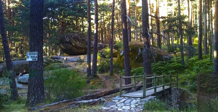 El Ministerio para la Transición Ecológica y el Reto Demográfico, ofrece el Programa de Rutas Guiadas y Excursiones Didácticas Primavera