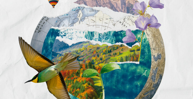 La Feria de la Naturaleza celebra su séptima edición en el Real Sitio de San Ildefonso