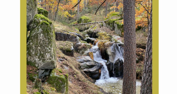 Programa de Rutas Guiadas y Excursiones Didácticas Otoño por la vertiente segoviana del Guadarrama