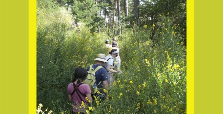 Programa de Rutas Guiadas y Excursiones Didácticas Primavera