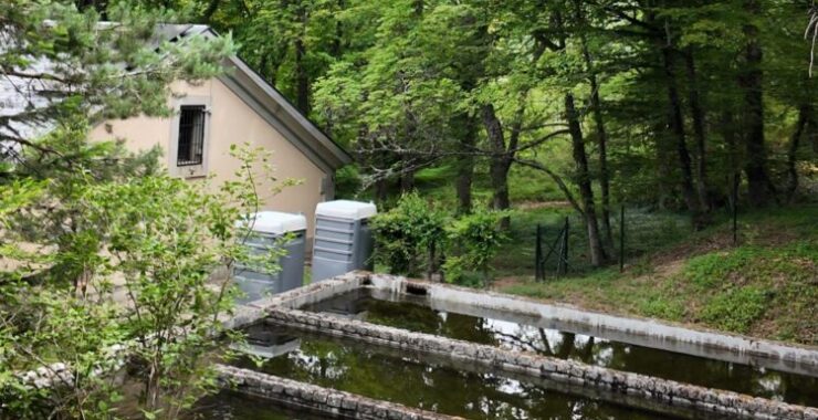 Patrimonio Nacional retoma las visitas guiadas a la histórica piscifactoría de los Jardines de La Granja