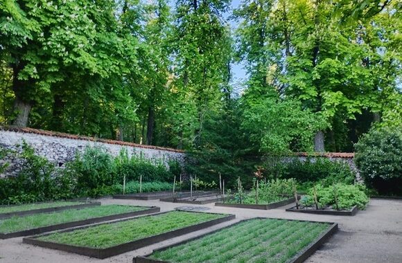 Patrimonio Nacional lanza visitas guiadas al Jardín de la Real Botica y a la piscifactoría histórica de La Granja