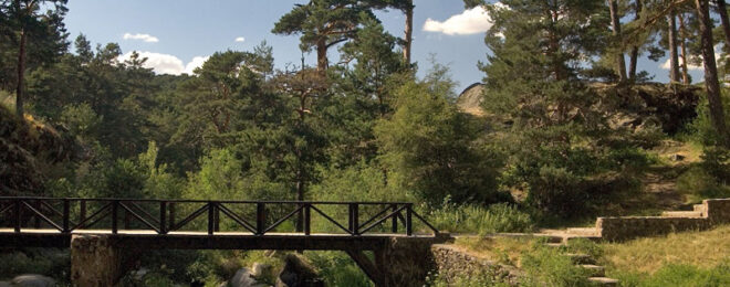 FESTIVIDAD DE SAN ANTÓN 2026